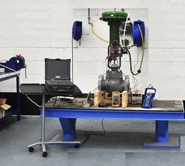 In-house valve repairing services