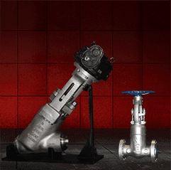 Tiger Valve cast steel gate globe check valves