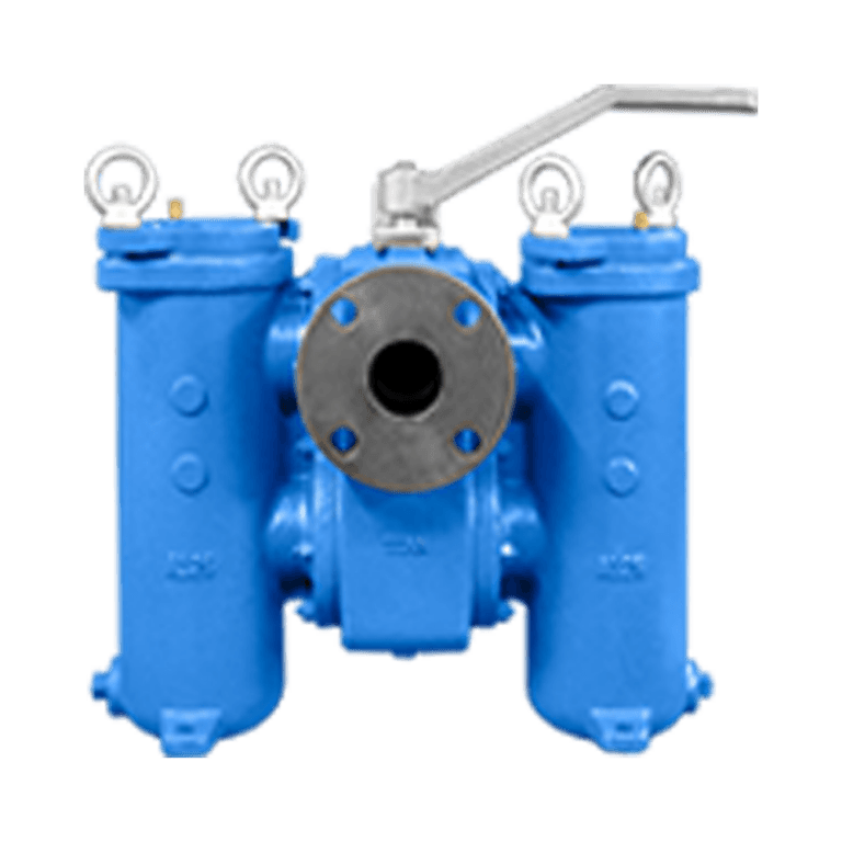 Titan DS695 duplex strainer cast iron